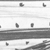 Single Image
